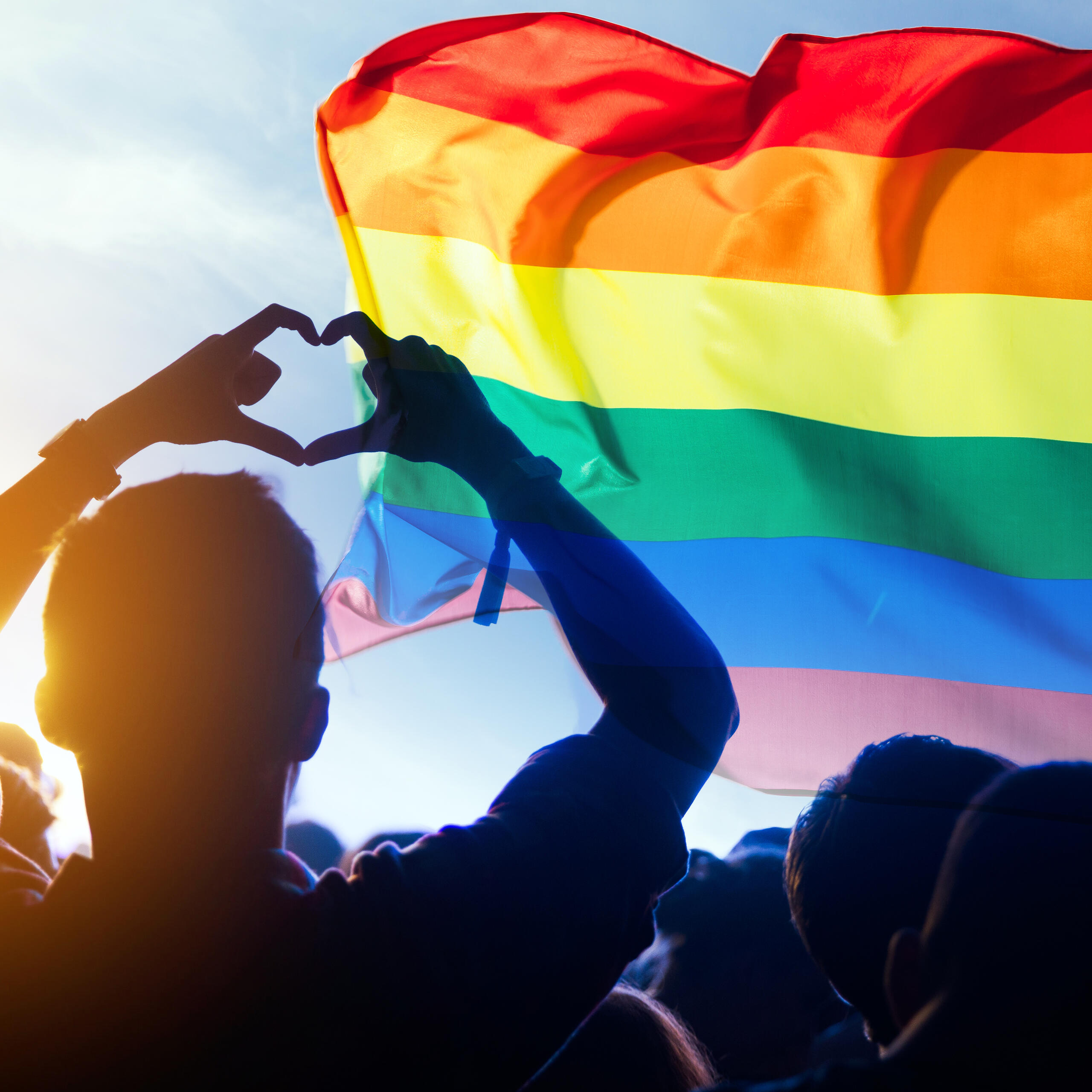 afbeelding van de regenboogvlag